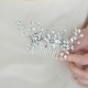 Wedding Accessories Ladies Glamourous Alloy Combs and Barrettes With Crystal 